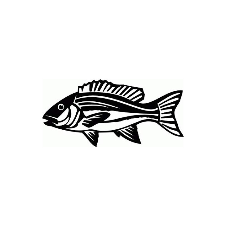 Red Snapper Vinyl Decal Sticker - DecalsHouse