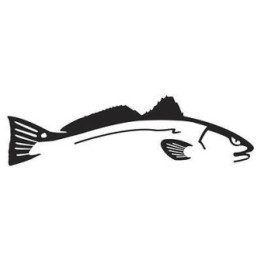 Redfish Vinyl Decal Sticker V5 - DecalsHouse