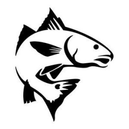 Redfish Vinyl Decal Sticker - DecalsHouse