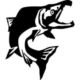 Salmon Vinyl Decal Sticker V17 - DecalsHouse