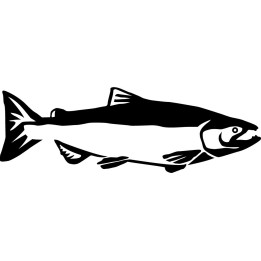 Salmon Vinyl Decal Sticker V18 - DecalsHouse
