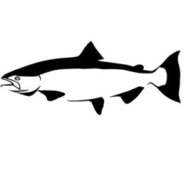 Salmon Vinyl Decal Sticker V2 - DecalsHouse