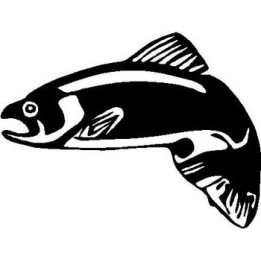 Salmon Vinyl Decal Sticker V3 - DecalsHouse