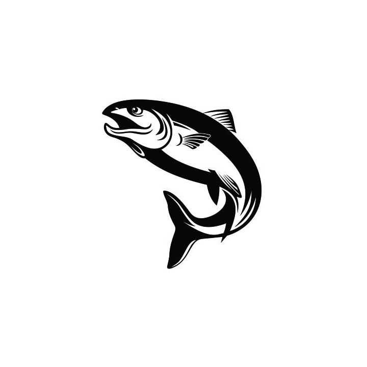 Salmon Vinyl Decal Sticker - DecalsHouse