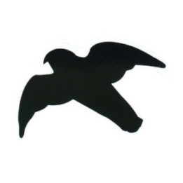 Bird Vinyl Decal Sticker V11 - DecalsHouse