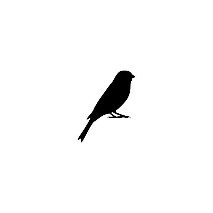 Bird Vinyl Decal Sticker V18 - DecalsHouse