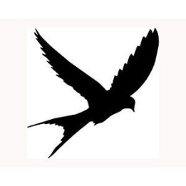 Bird Vinyl Decal Sticker V26 - DecalsHouse