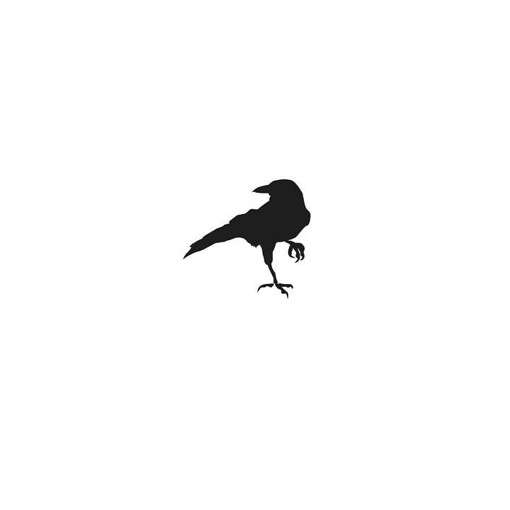 Bird Vinyl Decal Sticker V4 - DecalsHouse