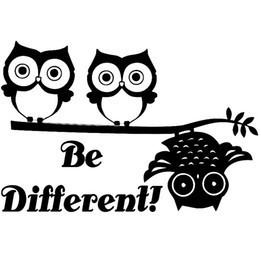 Bird Vinyl Decal Sticker V44 - DecalsHouse