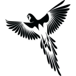 Bird Vinyl Decal Sticker V63 - DecalsHouse