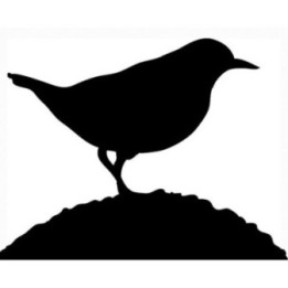 Bird Vinyl Decal Sticker V71 - DecalsHouse