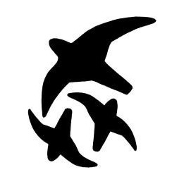 Bird Vinyl Decal Sticker V8 - DecalsHouse