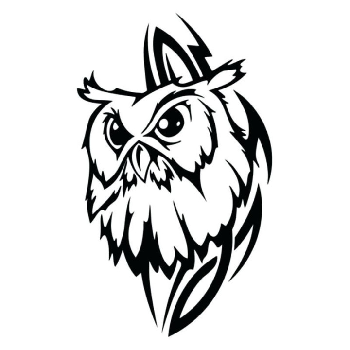 Bird Vinyl Decal Sticker V87 - DecalsHouse