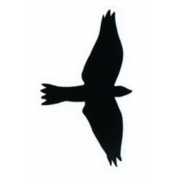 Bird Vinyl Decal Sticker - DecalsHouse