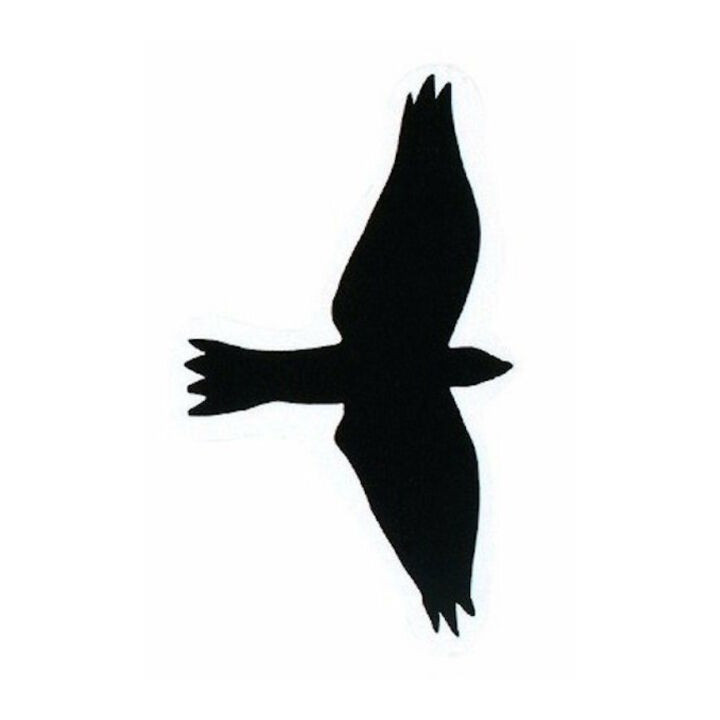 Bird Vinyl Decal Sticker - DecalsHouse