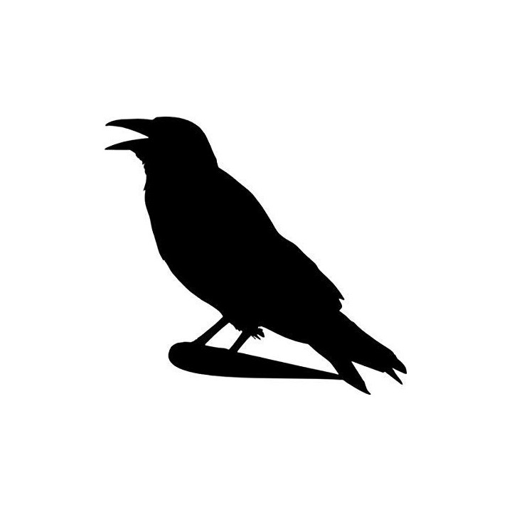 Crow Bird Vinyl Decal Sticker - DecalsHouse