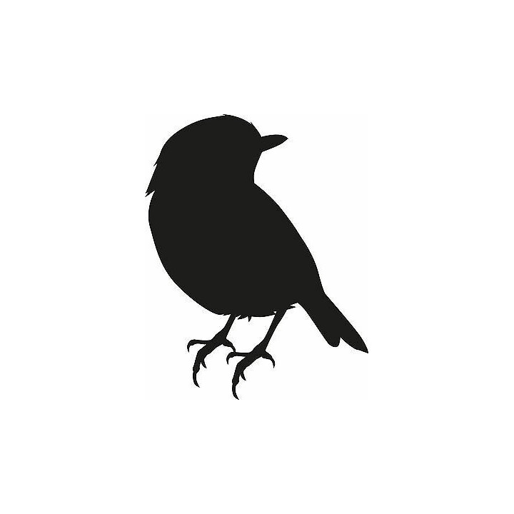 Finch Bird Vinyl Decal Sticker V10 - DecalsHouse
