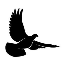Pigeon Vinyl Decal Sticker V2 - DecalsHouse