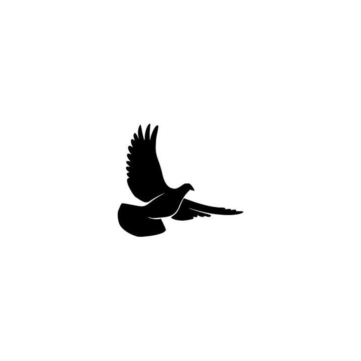 Pigeon Vinyl Decal Sticker V2 - DecalsHouse