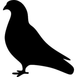 Pigeon Vinyl Decal Sticker V7 - DecalsHouse