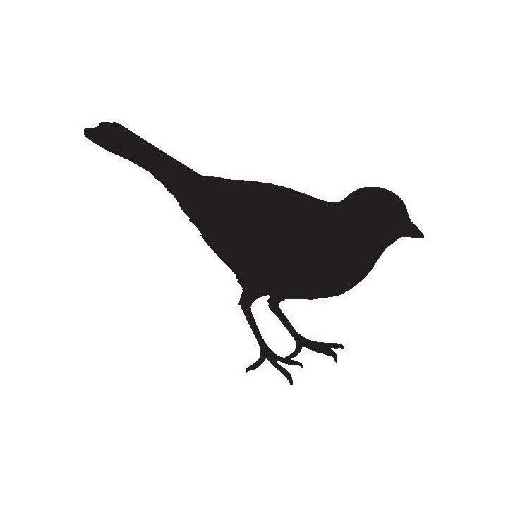 Sparrow Bird Vinyl Decal Sticker V12 - DecalsHouse