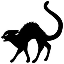 Mad Cat Sticker Vinyl Decal - DecalsHouse