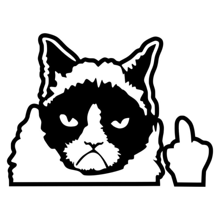 Sad Cat Sticker Vinyl Decal - DecalsHouse