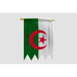 Algeria Flag Style 19 Sticker - DecalsHouse