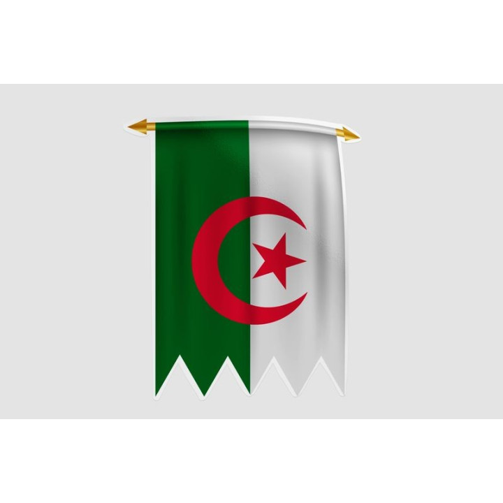 Algeria Flag Style 19 Sticker - DecalsHouse