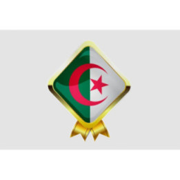 Algeria Flag Style 2 Sticker - DecalsHouse