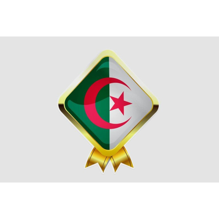 Algeria Flag Style 2 Sticker - DecalsHouse