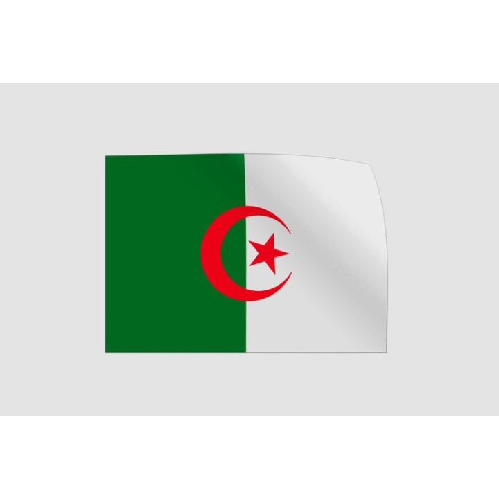 Algeria Flag Style 20 Sticker - DecalsHouse