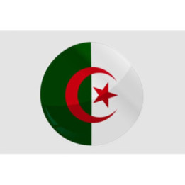 Algeria Flag Style 26 Sticker - DecalsHouse