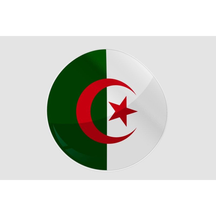 Algeria Flag Style 26 Sticker - DecalsHouse