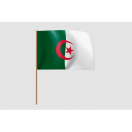 Algeria Flag Style 28 Sticker - DecalsHouse