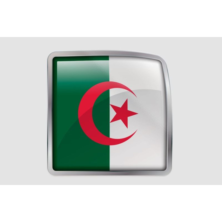 Algeria Flag Style 30 Sticker - DecalsHouse