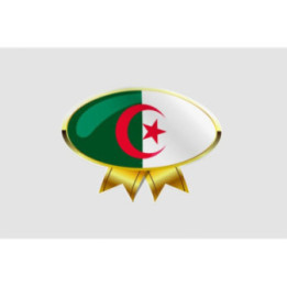 Algeria Flag Style 9 Sticker - DecalsHouse