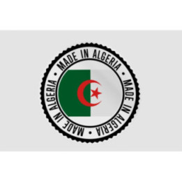 Algeria Premium Quality Made In Style 11 Sticker - DecalsHouse