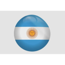 Argentina Flag Style 2 Sticker - DecalsHouse
