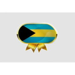 Bahamas Flag Style 8 Sticker - DecalsHouse