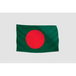 Bangladesh Flag Style 37 Sticker - DecalsHouse