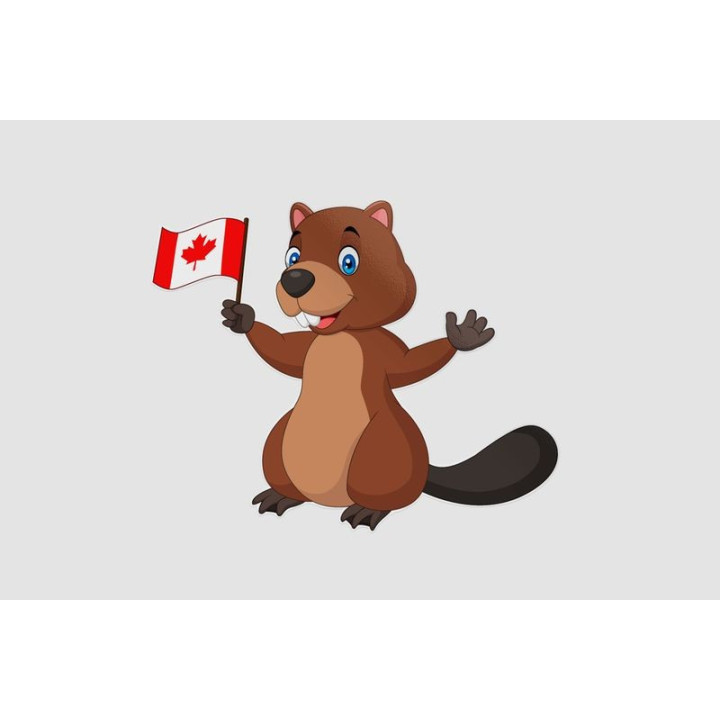 Beaver Holding Canadian Flag Sticker - DecalsHouse