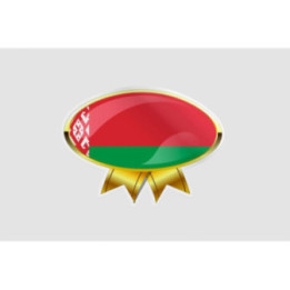 Belarus Flag Style 10 Sticker - DecalsHouse