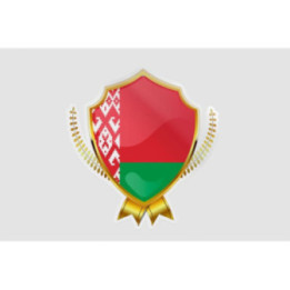 Belarus Flag Style 11 Sticker - DecalsHouse