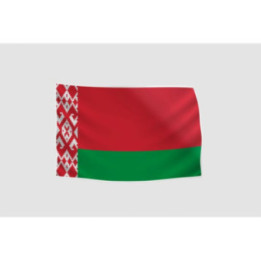 Belarus Flag Style 21 Sticker - DecalsHouse