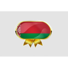 Belarus Flag Style 7 Sticker - DecalsHouse