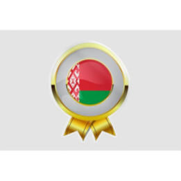 Belarus Flag Style 9 Sticker - DecalsHouse