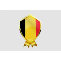 Belgium Flag Style 16 Sticker - DecalsHouse
