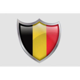 Belgium Flag Style 7 Sticker - DecalsHouse
