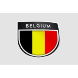 Belgium Flag Style 9 Sticker - DecalsHouse